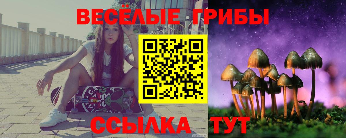 Псилоцибиновые грибы мухоморы Биробиджан